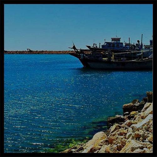 دانلود آهنگ گل پامچال بندری ریمیکس بی کلام