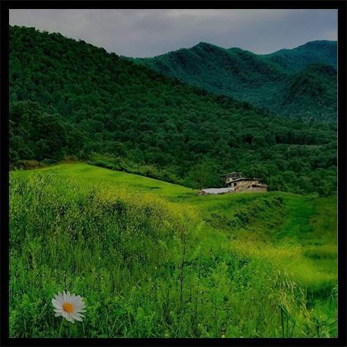 دانلود آهنگ دم دمه دمنن دمه چایدانی قویدوم دمه اصلی