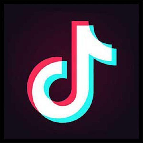 دانلود اهنگ felixs l.o.l ریمیکس چالش تیک تاک